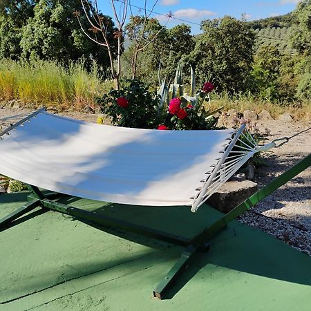 La Casita, Zagra Villa La Carrera de la Vina Bagian luar foto