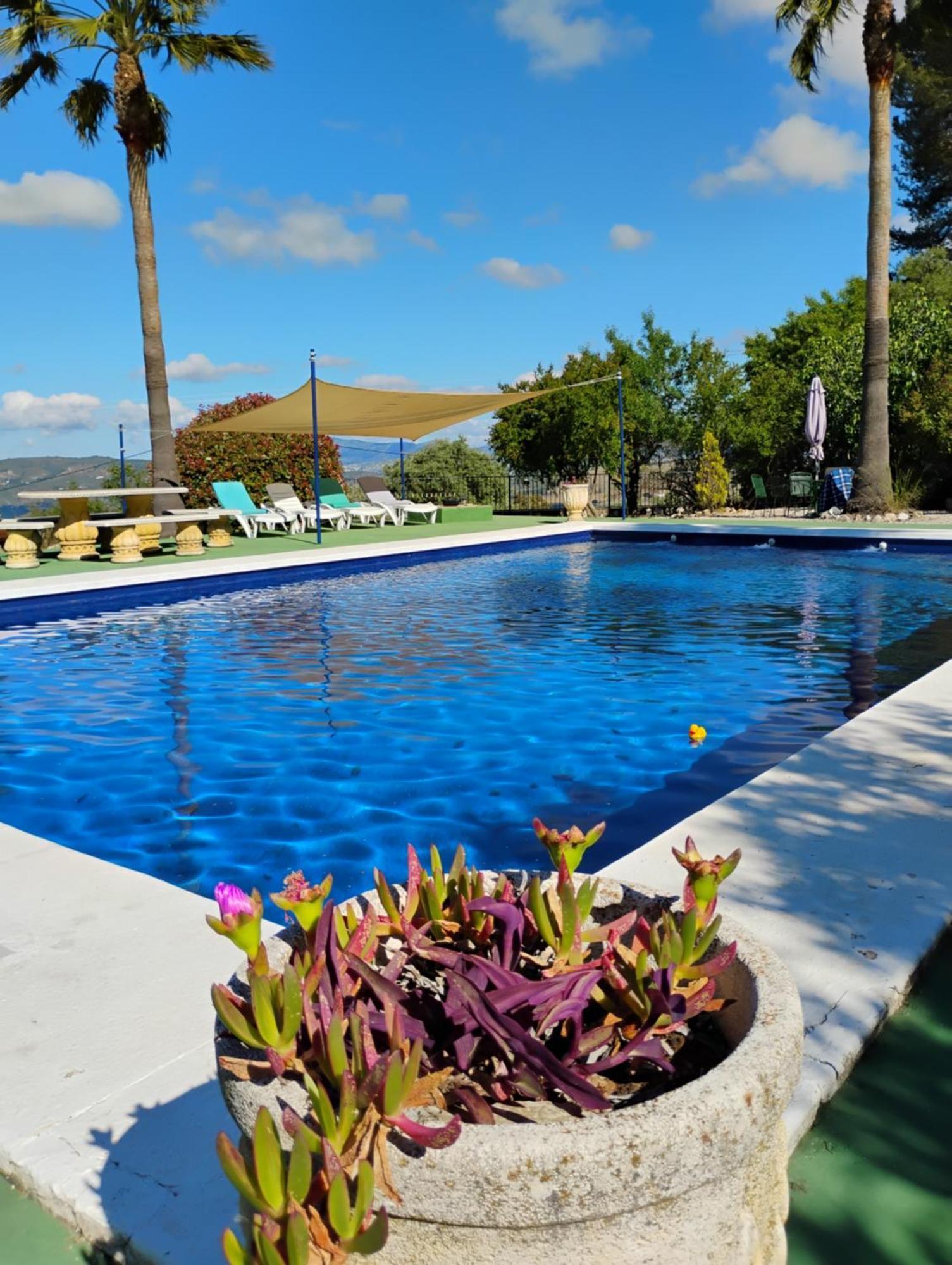 La Casita, Zagra Villa La Carrera de la Vina Bagian luar foto