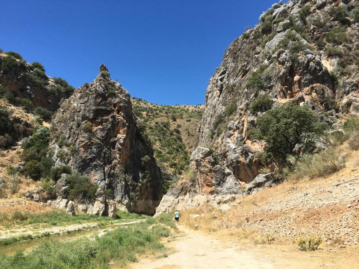 La Casita, Zagra Villa La Carrera de la Vina Bagian luar foto