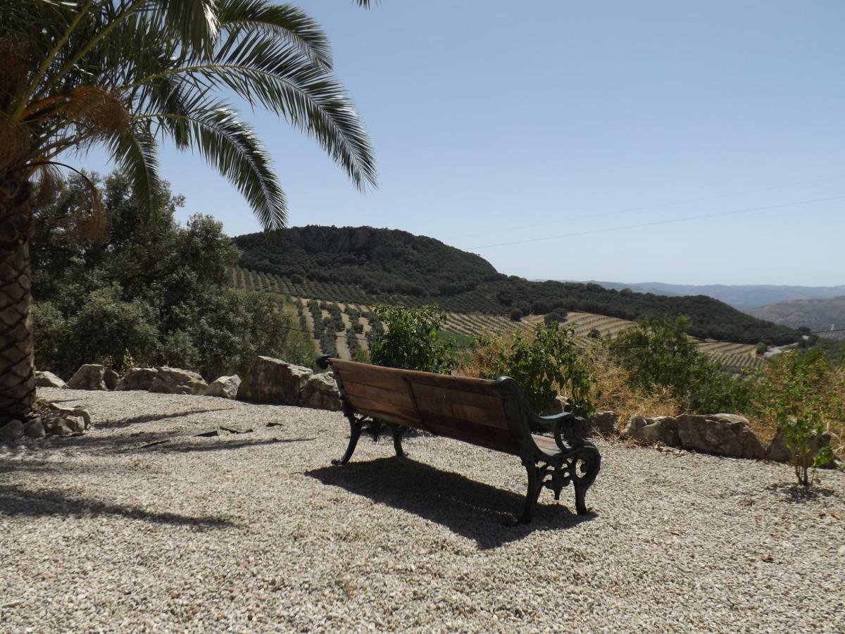 La Casita, Zagra Villa La Carrera de la Vina Bagian luar foto