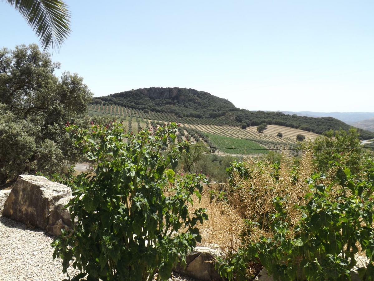 La Casita, Zagra Villa La Carrera de la Vina Bagian luar foto