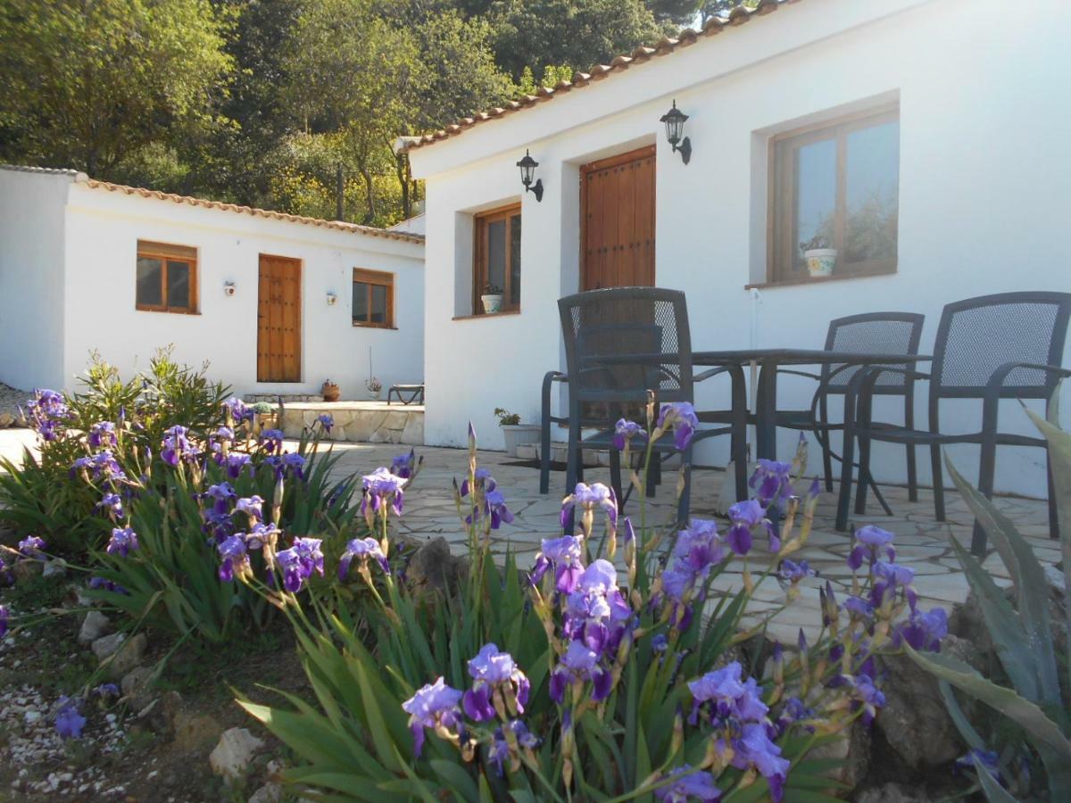 La Casita, Zagra Villa La Carrera de la Vina Bagian luar foto